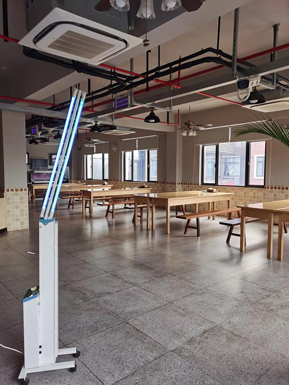 1581494656648058.jpg 7s.jpg