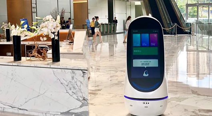 1582265066940631.jpg 14.jpg