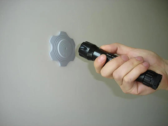 1616727301111641.jpg 2w.jpg