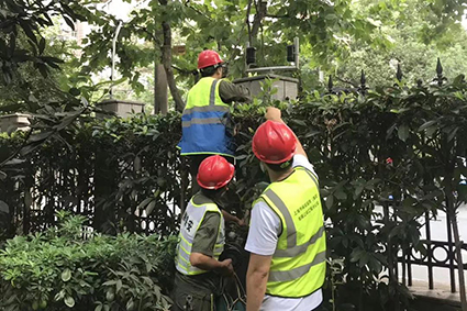 1620609283848500.jpg 1w.jpg