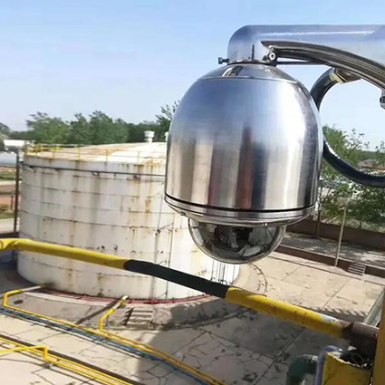 1620696808773926.jpg 1w.jpg