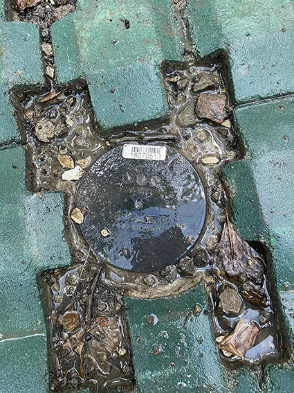 1624950928681967.jpg 4w.jpg