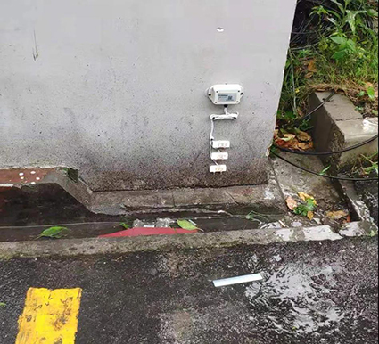 1627382029102622.jpg 4w.jpg