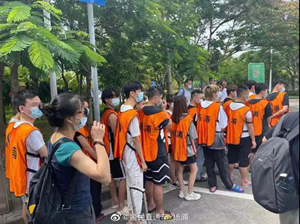 1629356782107953.jpg 10w.jpg