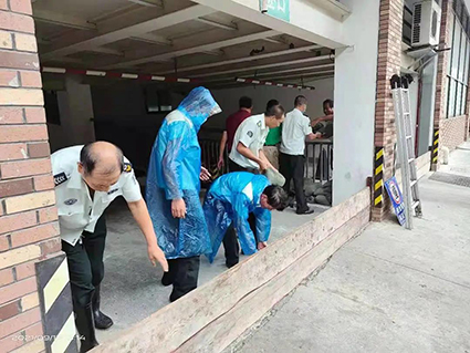 1631693525307720.jpg 2w.jpg