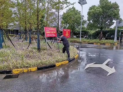 1631693558654857.jpg 4w.jpg