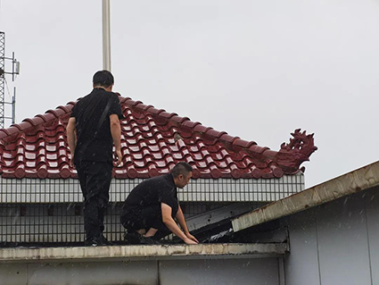 1631693714714155.jpg 21w.jpg