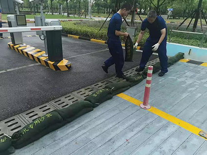 1631693741237019.jpg 24w.jpg