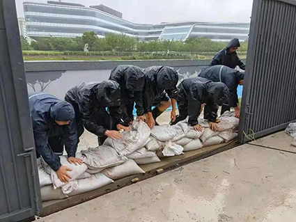 1631693748116499.jpg 25w.jpg