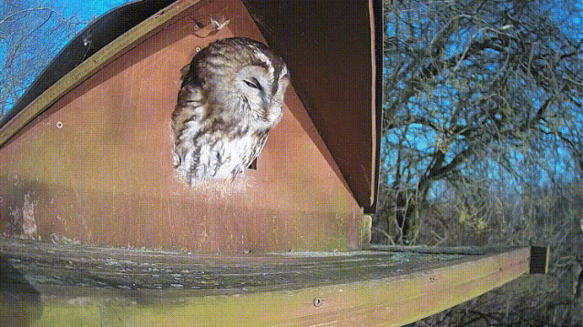 1686128303317144.gif 1.gif