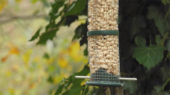 1686128408388964.jpg 3w.jpg